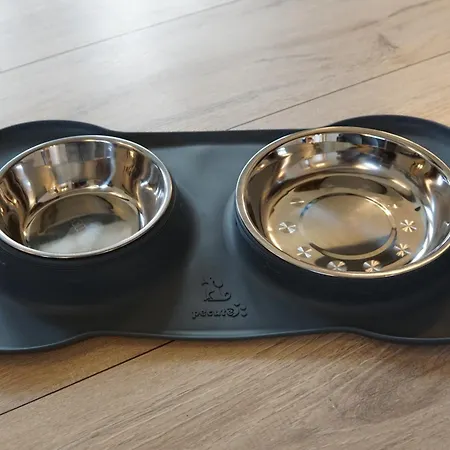 Familienurlaub Im Wald Am Twistesee 20 Nur 300 M Zum - Grill & Terasse & Hundefreundlich - Twistesee-ferien * 바트아롤젠