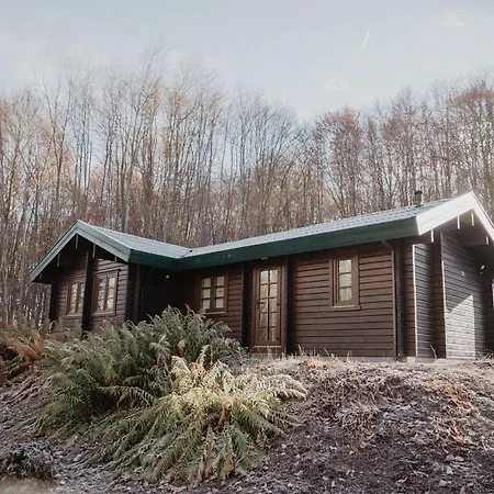 Familienurlaub Im Wald Am Twistesee 20 Nur 300 M Zum - Grill & Terasse & Hundefreundlich - Twistesee-ferien *