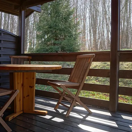 Familienurlaub Im Wald Am Twistesee 20 Nur 300 M Zum - Grill & Terasse & Hundefreundlich - Twistesee-ferien * 바트아롤젠